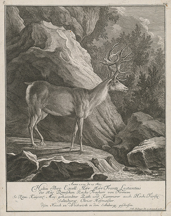 Johann Elias Ridinger – Jeleň Františka Lactansa 