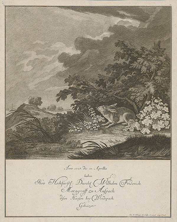 Johann Elias Ridinger – Zajac Wilhema Fridricha z Ansprachu 