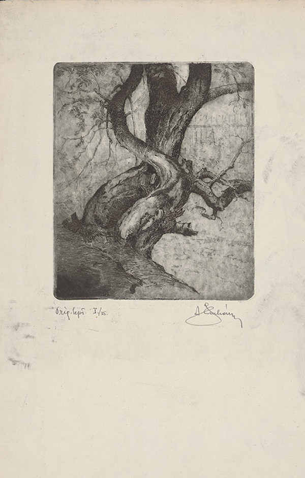 Alojz Struhár – Stromy 