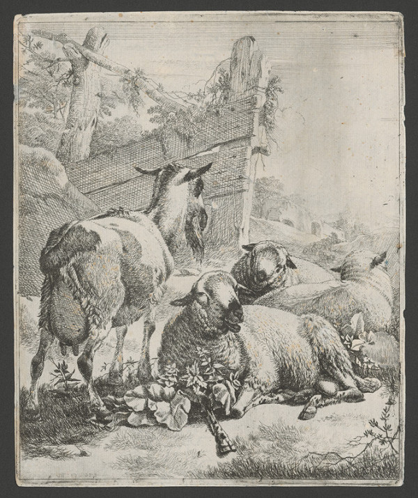 Johann Heinrich Roos – Barania črieda 