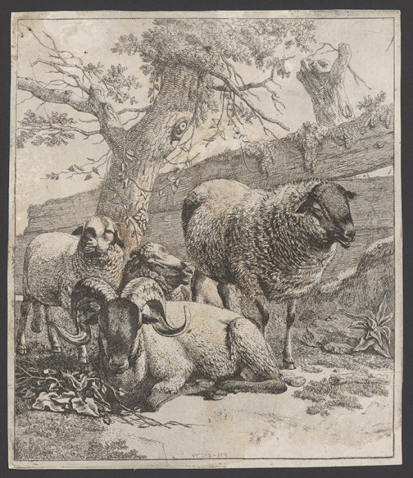 Johann Heinrich Roos – Ovce s baranom 