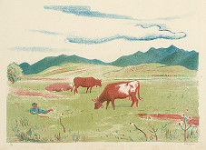 Václav Fiala – Kravičky 