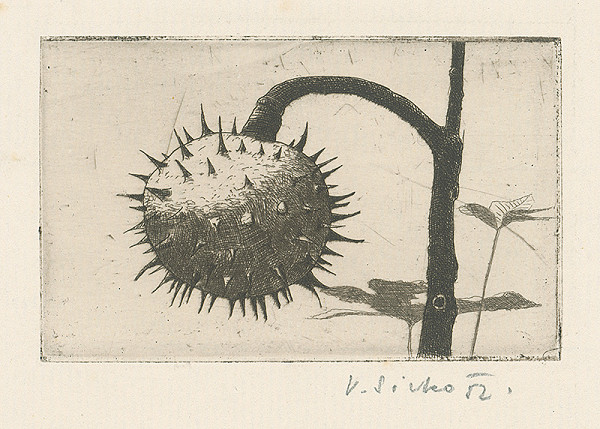 Václav Sivko – Gaštanový plod 