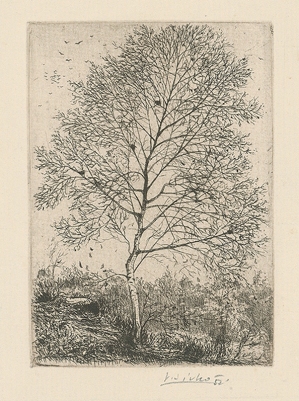 Václav Sivko – Osika 