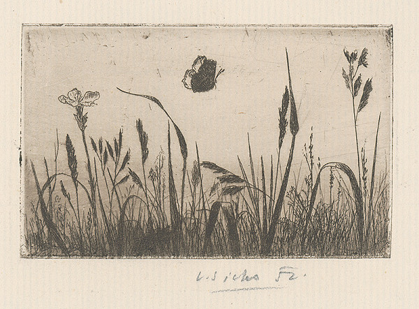 Václav Sivko – Tráva 