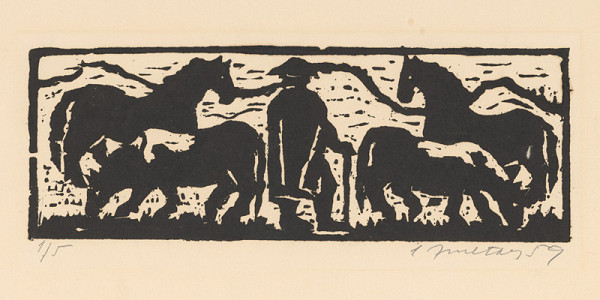 Ernest Zmeták – O Ďurkovi,čo oslobodil princeznú 