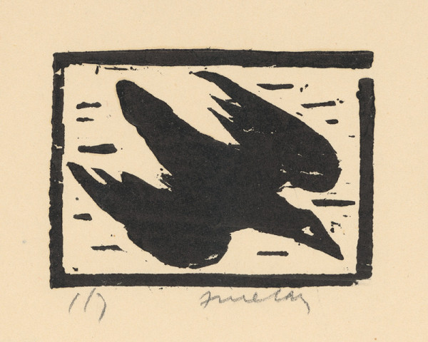 Ernest Zmeták – Havran 