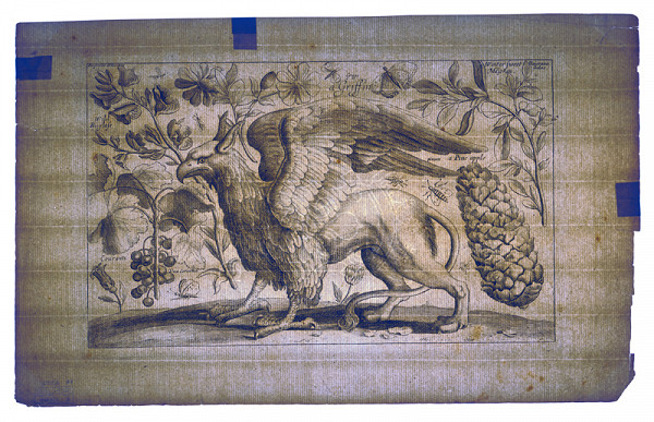 Václav Hollar – Mytologická obluda 