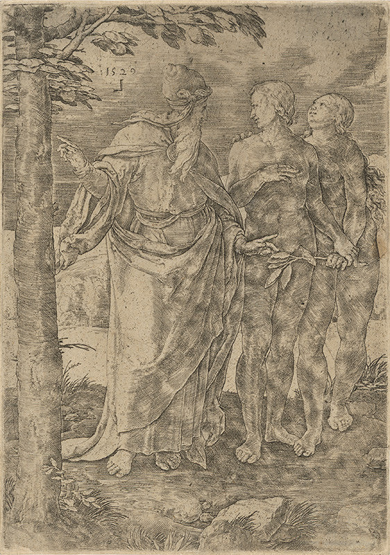 Lucas van Leyden – Prvý zákaz  