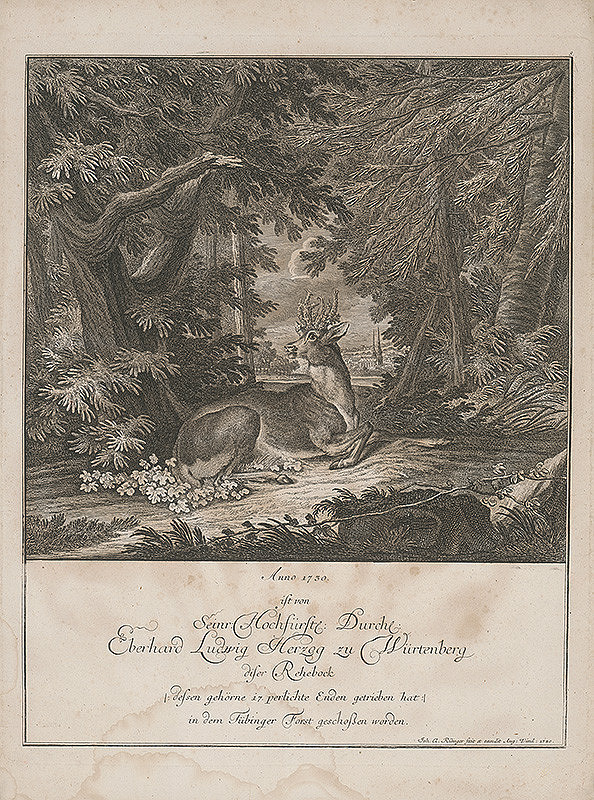 Johann Elias Ridinger – Srnec s degenerovaným parožím 