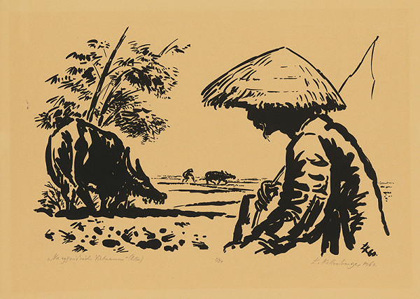 Ľubomír Kellenberger – Na ryžoviskách Vietnamu