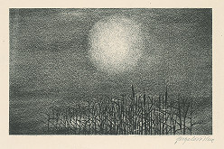 Viera Gergeľová – Rybník 