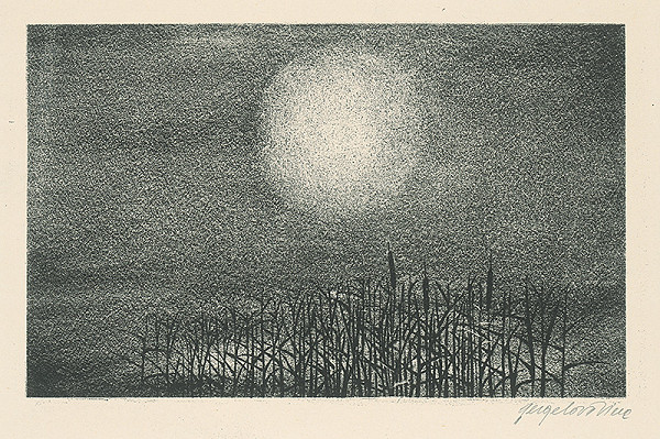 Viera Gergeľová – Rybník 