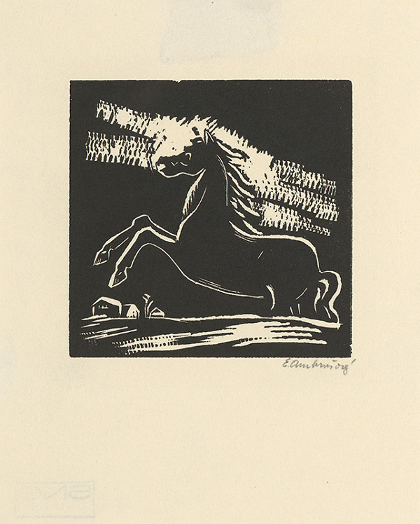 Edita Ambrušová – Koník 