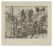 Cyril Bouda – Horské kvety 