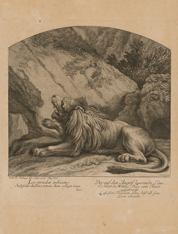 Johann Elias Ridinger – Lev 