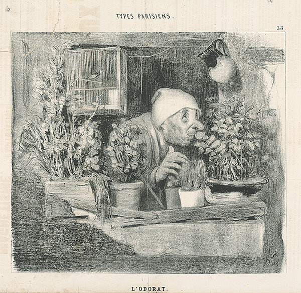 Honoré Daumier – Čuch 
