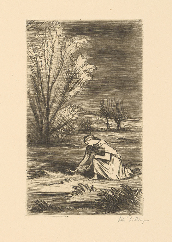 Petr Dillinger – Viktorka