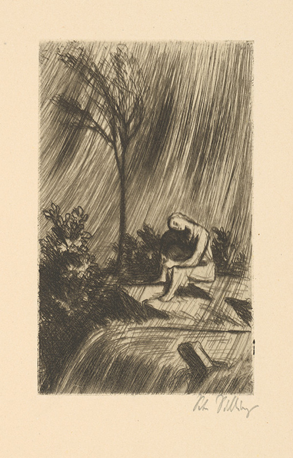 Petr Dillinger – Viktorka na splave 