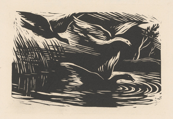 Alojz Pepich – Divé husi 