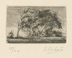 Václav Sivko – Stromy vo vetre 