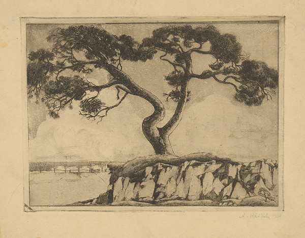 Aurel Kajlich – Borovica II. 