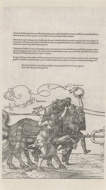 Albrecht Dürer – Bystrosť a neohrozenosť 