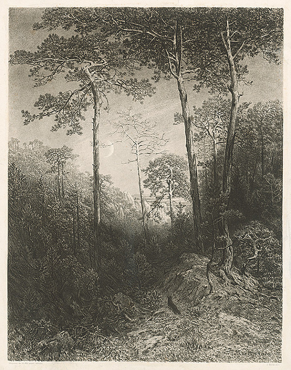 Julius Edvard Mařák – Lesné zátišie 