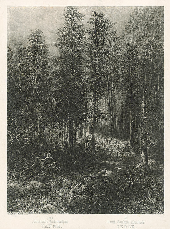 Julius Edvard Mařák – Lesný interiér 