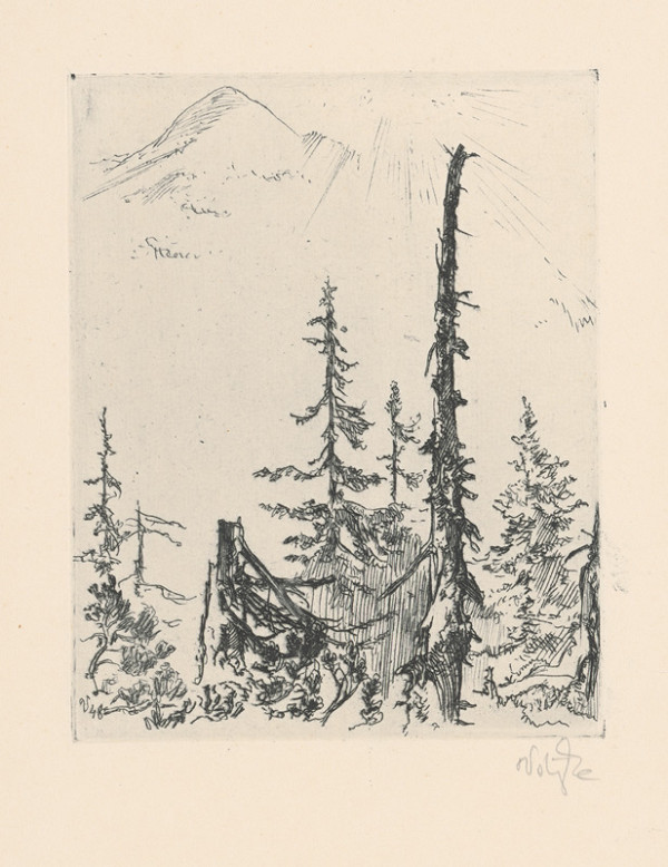 Jaroslav Vodrážka – Vrcholky stromov 