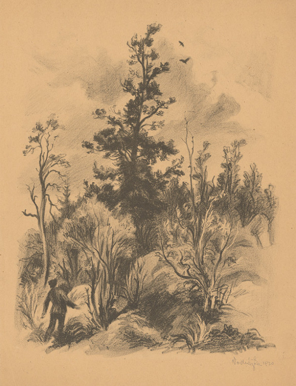 Jaroslav Vodrážka – V lese 