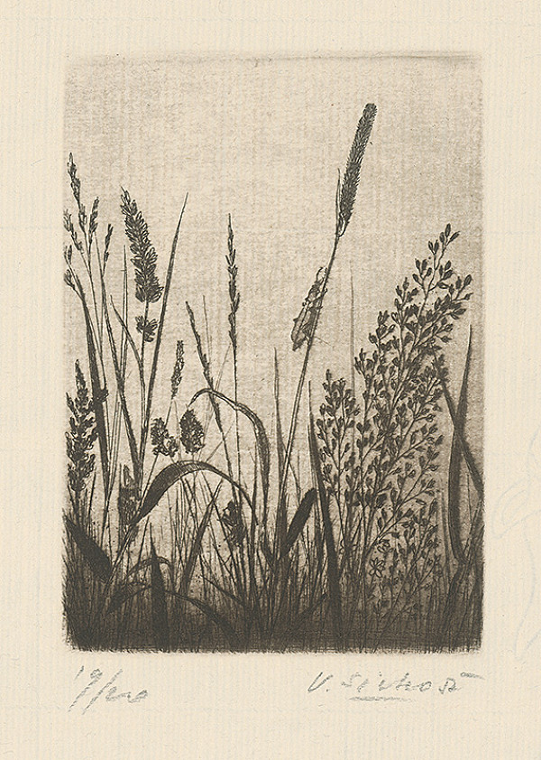 Václav Sivko – V tráve 