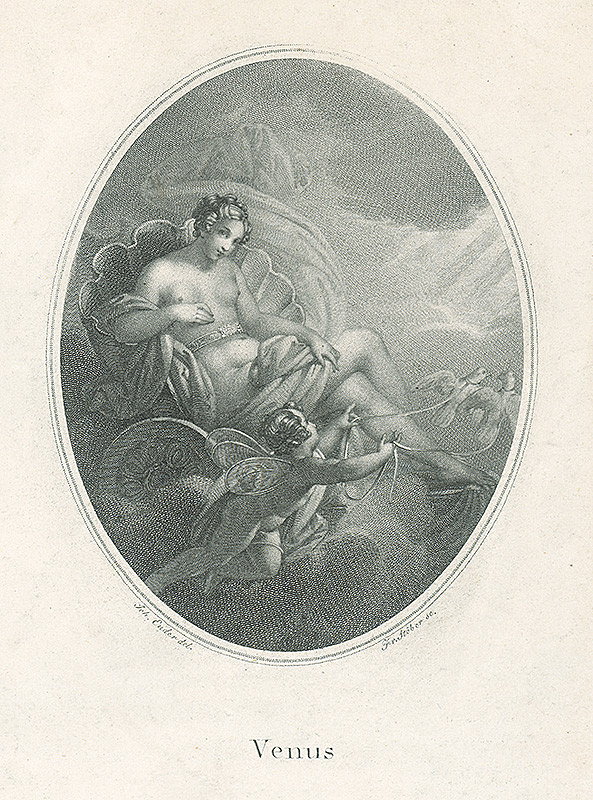 Franz Stöber, Johann Nepomuk Ender – Venuša 