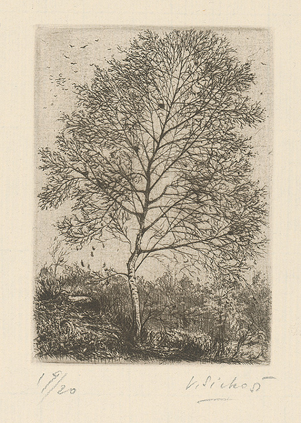 Václav Sivko – Osika 