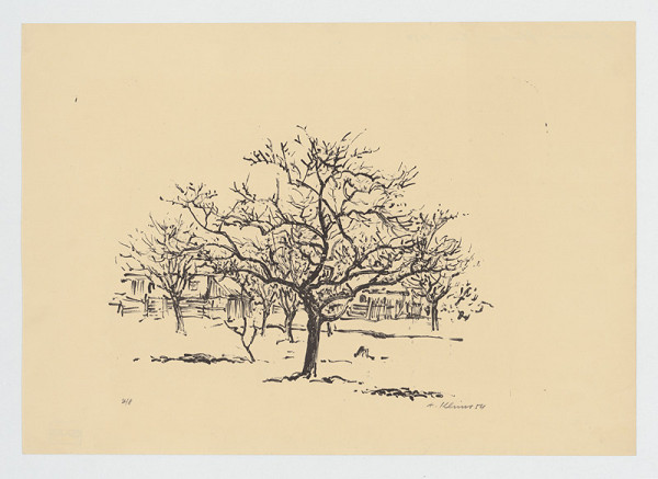 Alojz Klimo – Strom 