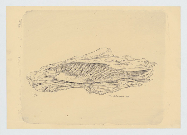 Alojz Klimo – Dunajka 