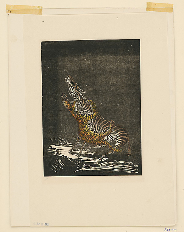 Walter Klemm – Tiger a zebra 