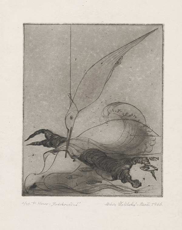 Mária Želibská – Nedokončená 