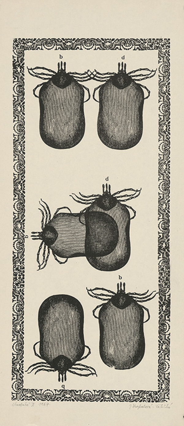 Jana Želibská – Chrobáci II. 