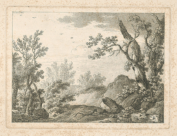 Johann Josef Schindler – Lesné zátišie 