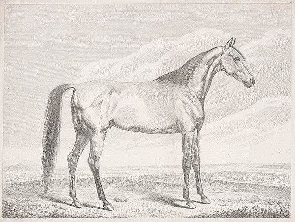 Stredoeurópsky autor z 19. storočia – Kôň na pláni 