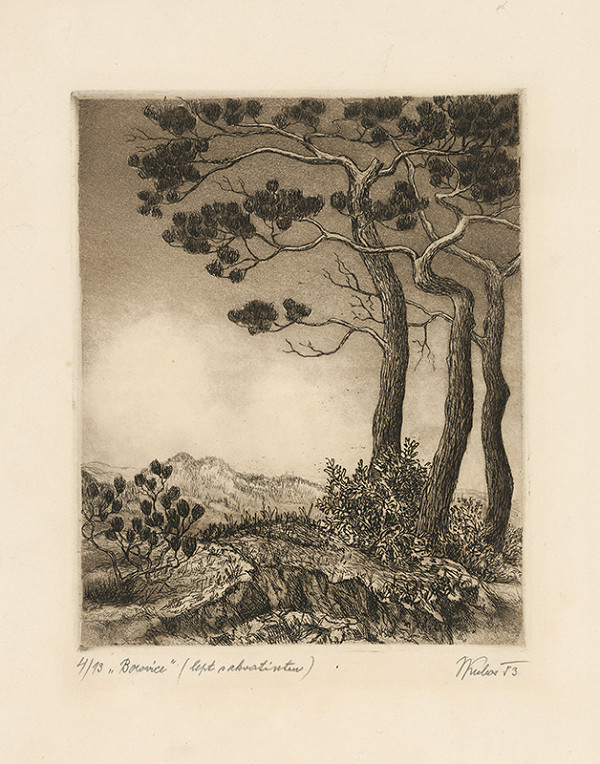 Jozef Kubas – Borovice 