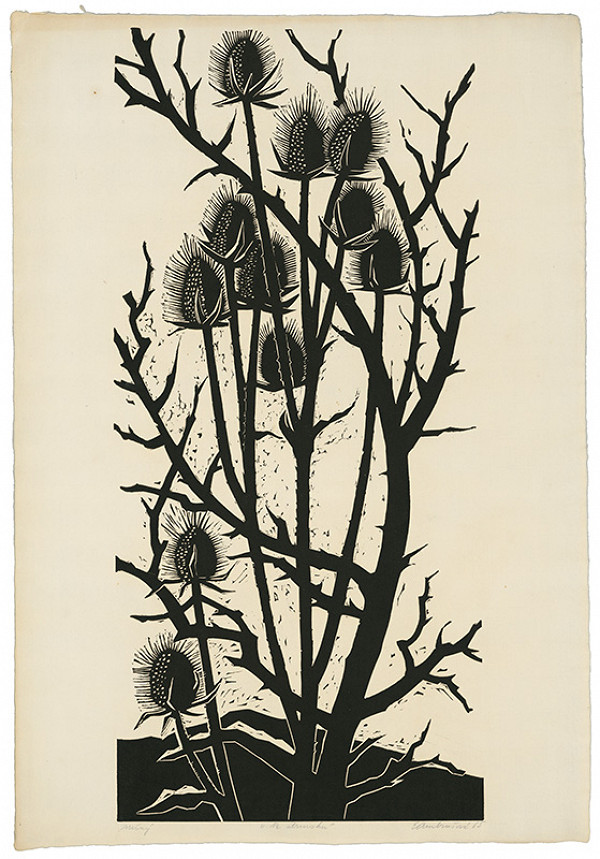 Edita Ambrušová – Na strnisku 