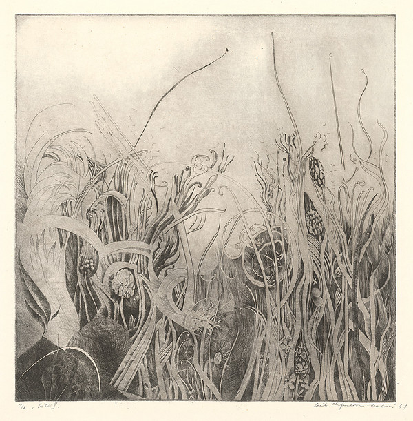 Alžbeta Štefunková-Szabová – Lúka I. 