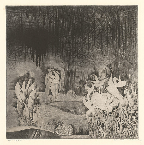 Alžbeta Štefunková-Szabová – Lúka II. 