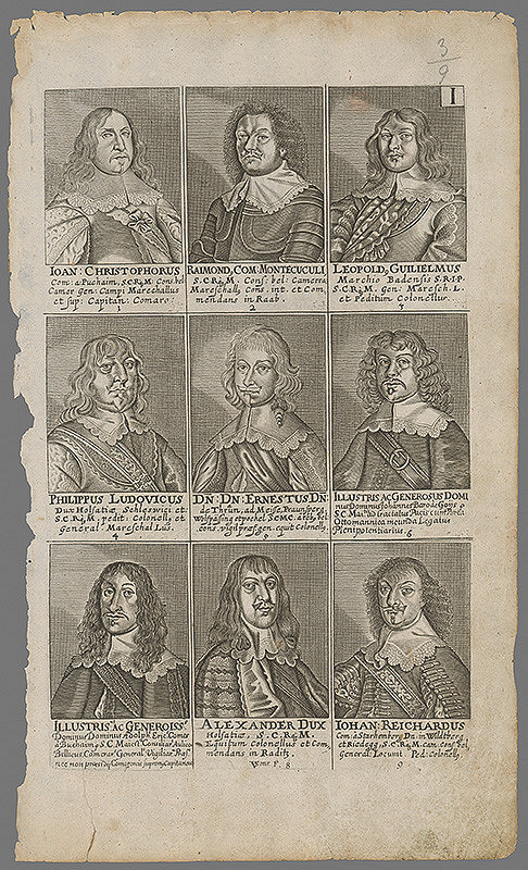 Lucas Schnitzer, Paul Fürst – Šľachtické portréty