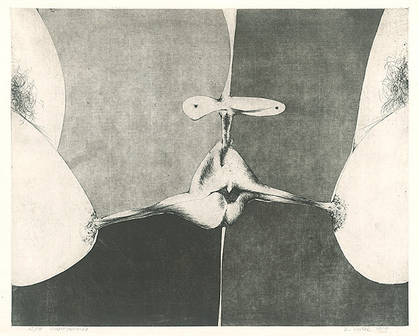 Emil Sedlák – Nymfomanka 