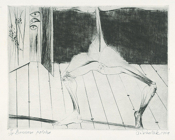 Emil Sedlák – Zvedavá poloha 