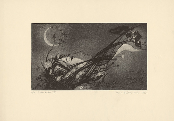 Mária Želibská – V dobe kvetov XI. 