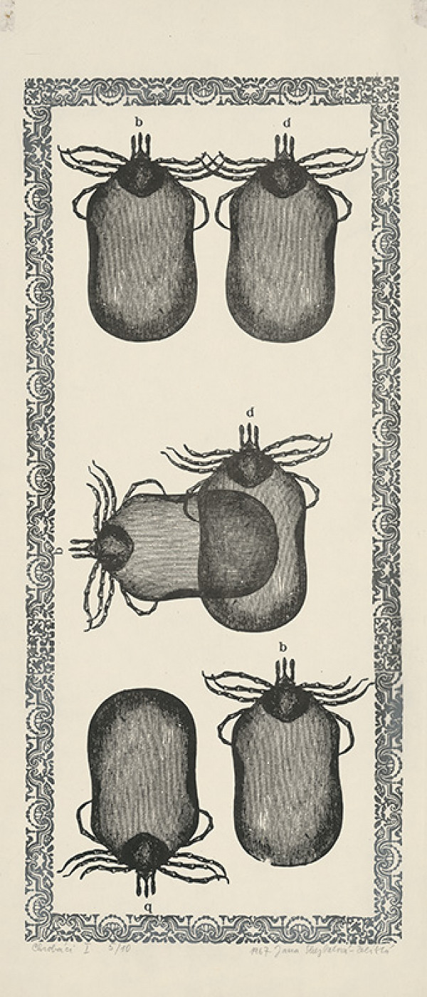 Jana Želibská – Bugs I.  